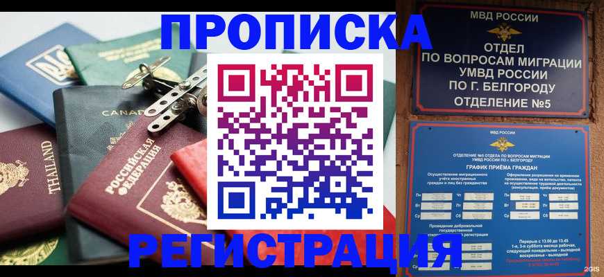 временная регистрация недорого в Мурманске